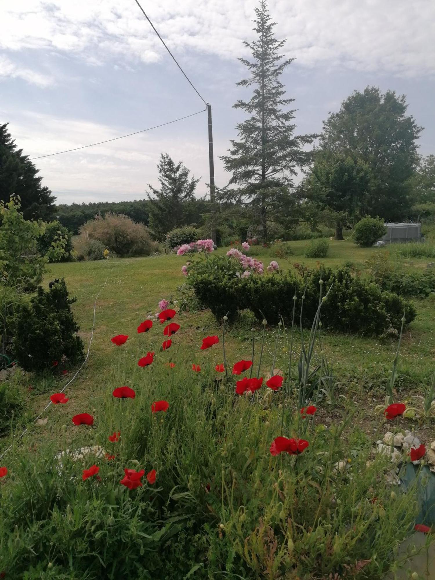 Charmante Maison, Calme Et Nature A La Roche Posay Villa Luaran gambar