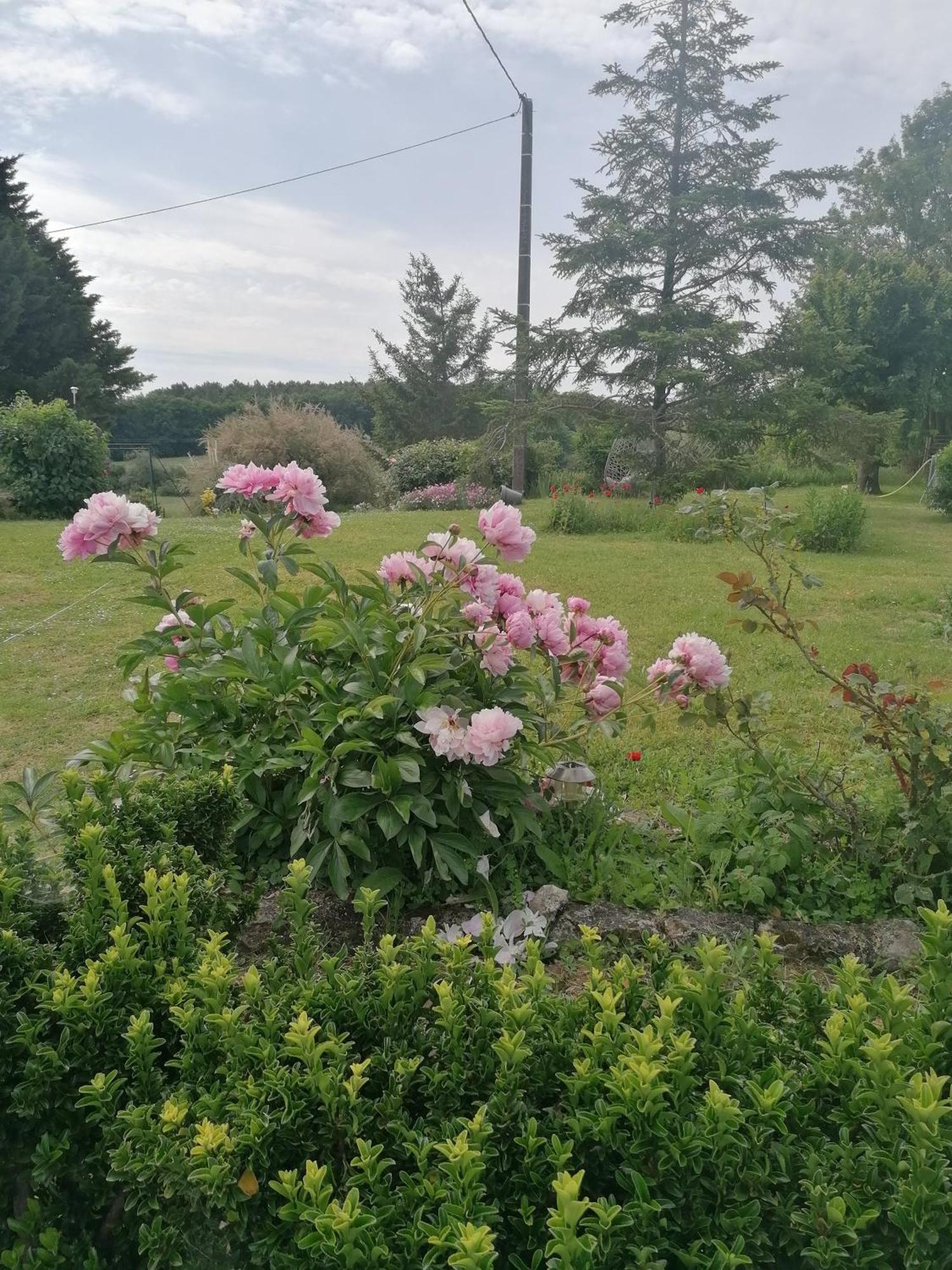 Charmante Maison, Calme Et Nature A La Roche Posay Villa Luaran gambar