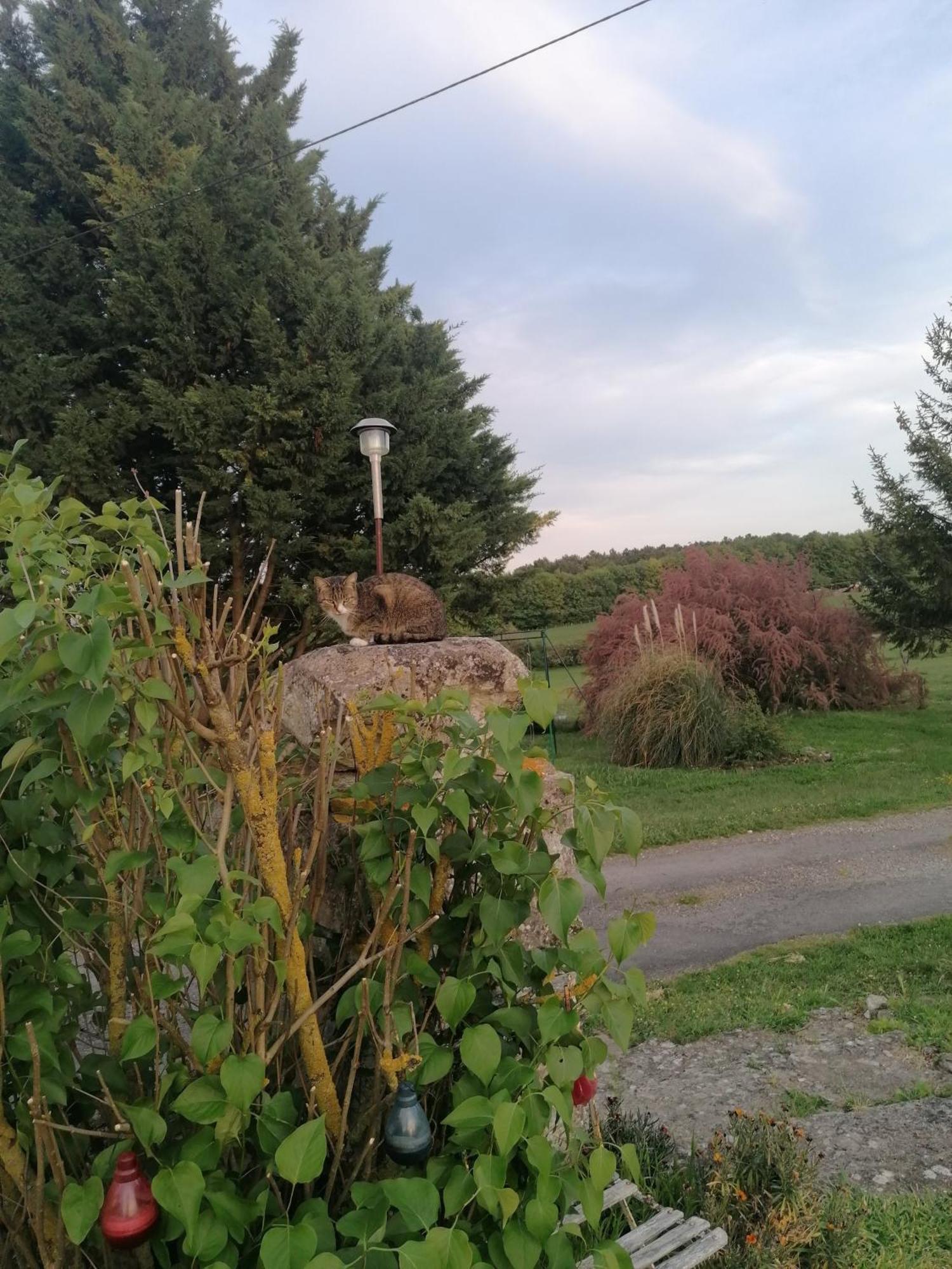 Charmante Maison, Calme Et Nature A La Roche Posay Villa Luaran gambar